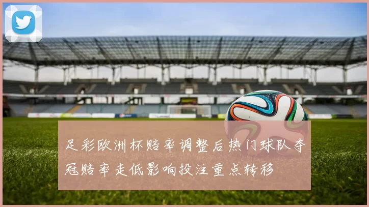 足彩欧洲杯赔率调整后热门球队夺冠赔率走低影响投注重点转移