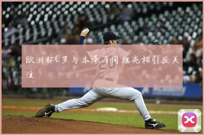 欧洲杯C罗与本泽马同框亮相引发关注