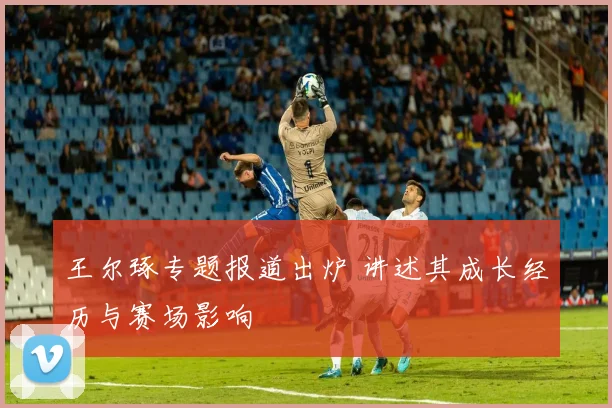 王尔琢专题报道出炉 讲述其成长经历与赛场影响